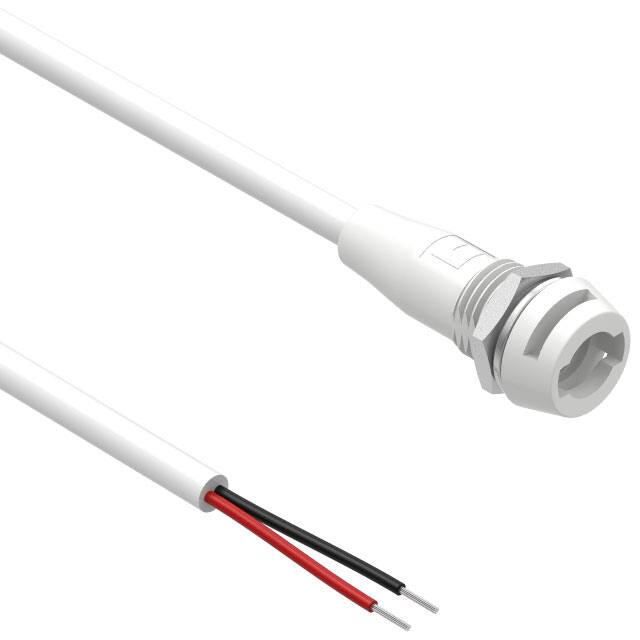 10-02979 Tensility International Corp  Assemblaggi di cavi